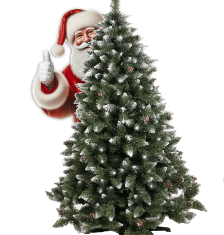 Choinki Lechbet Hero Image